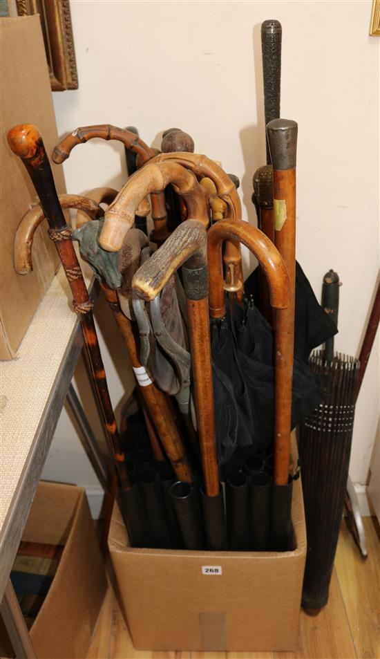 A collection of walking sticks 96cm
